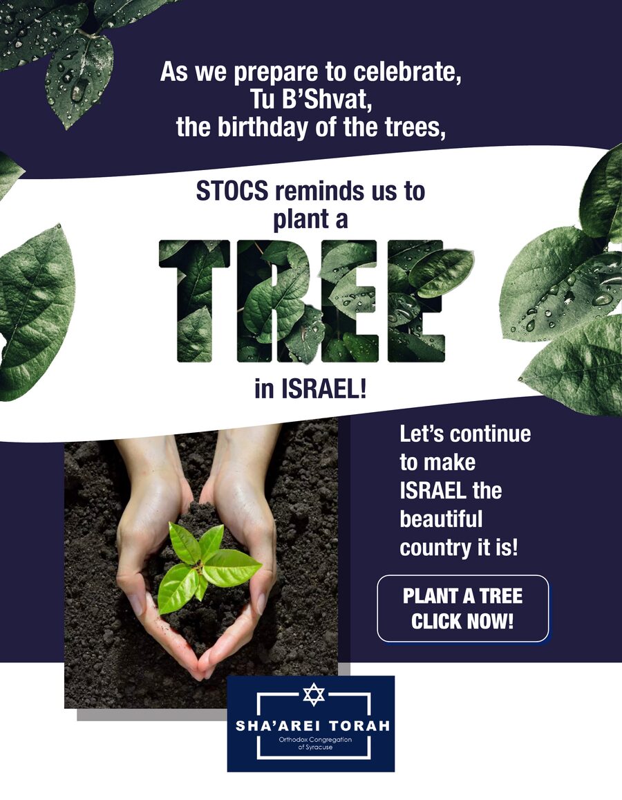 Tu B'Shvat tree planting flyer for Sha'arei Torah congregation